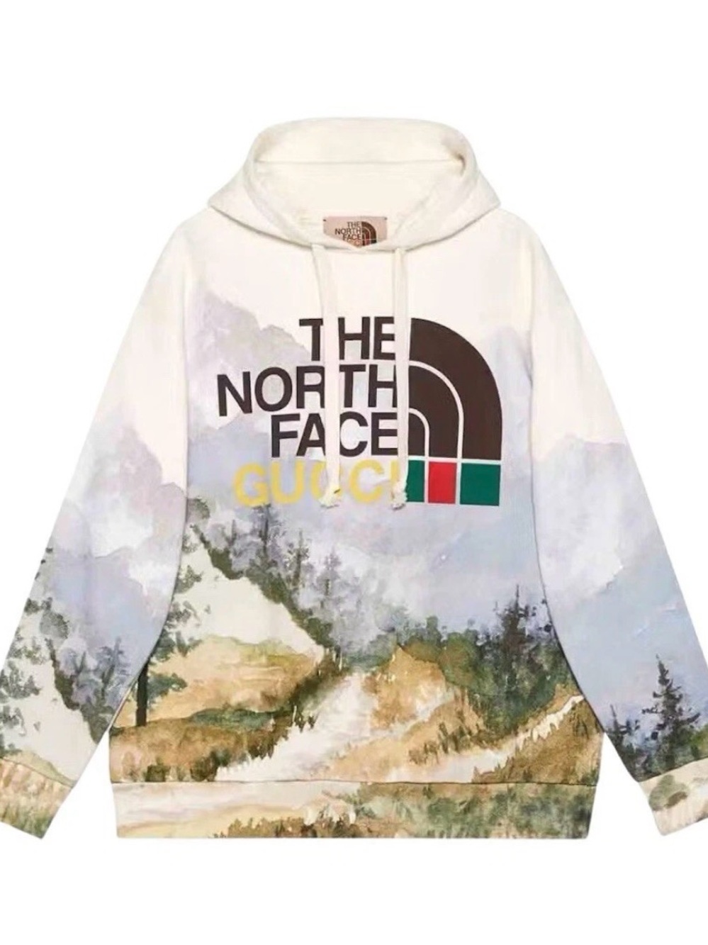 GUCCI X THE NORTH FACE HOODED SWEATSHIRT (OVERSIZED)